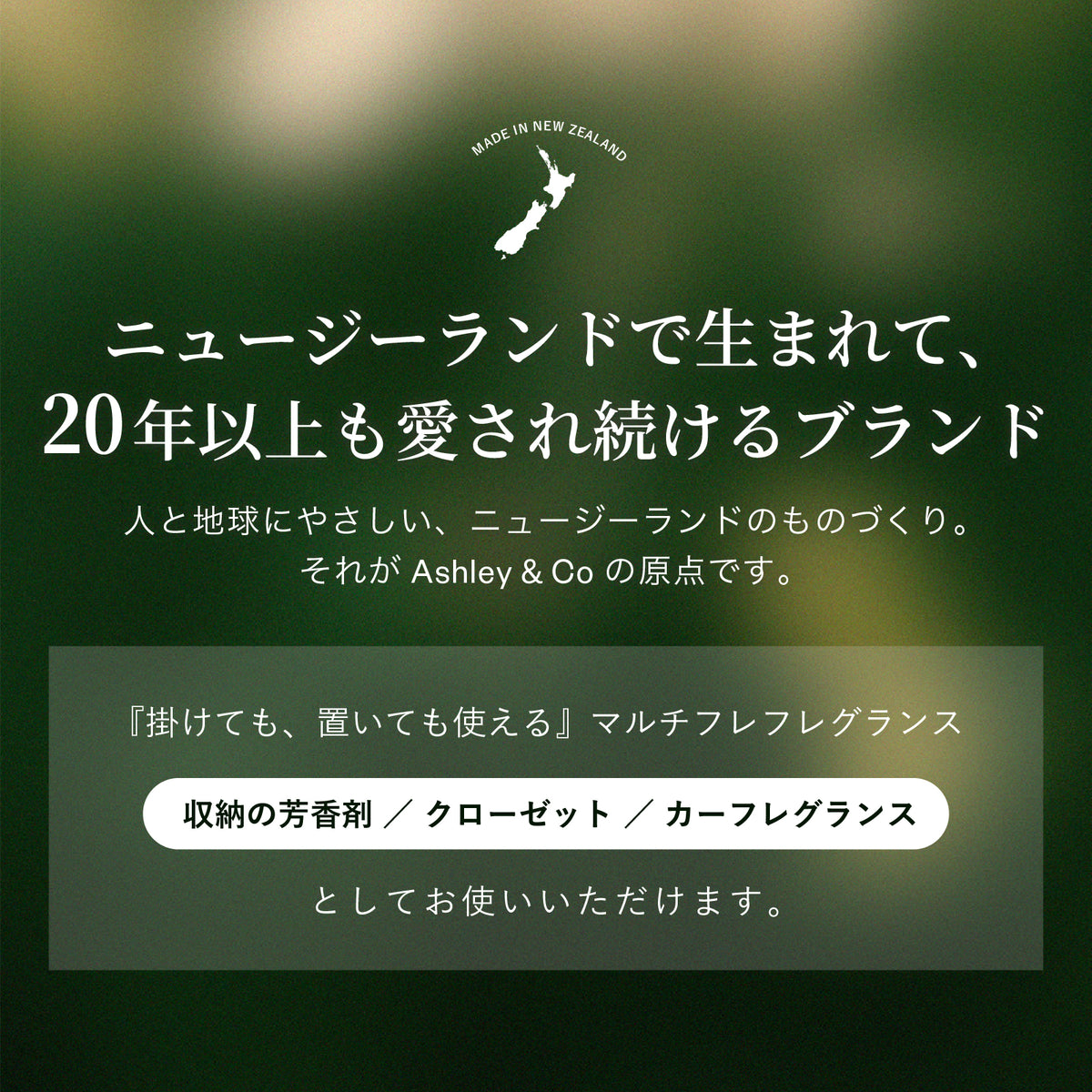 Ashley & Co パフュームカード