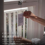 Ashley & Co パフュームカード