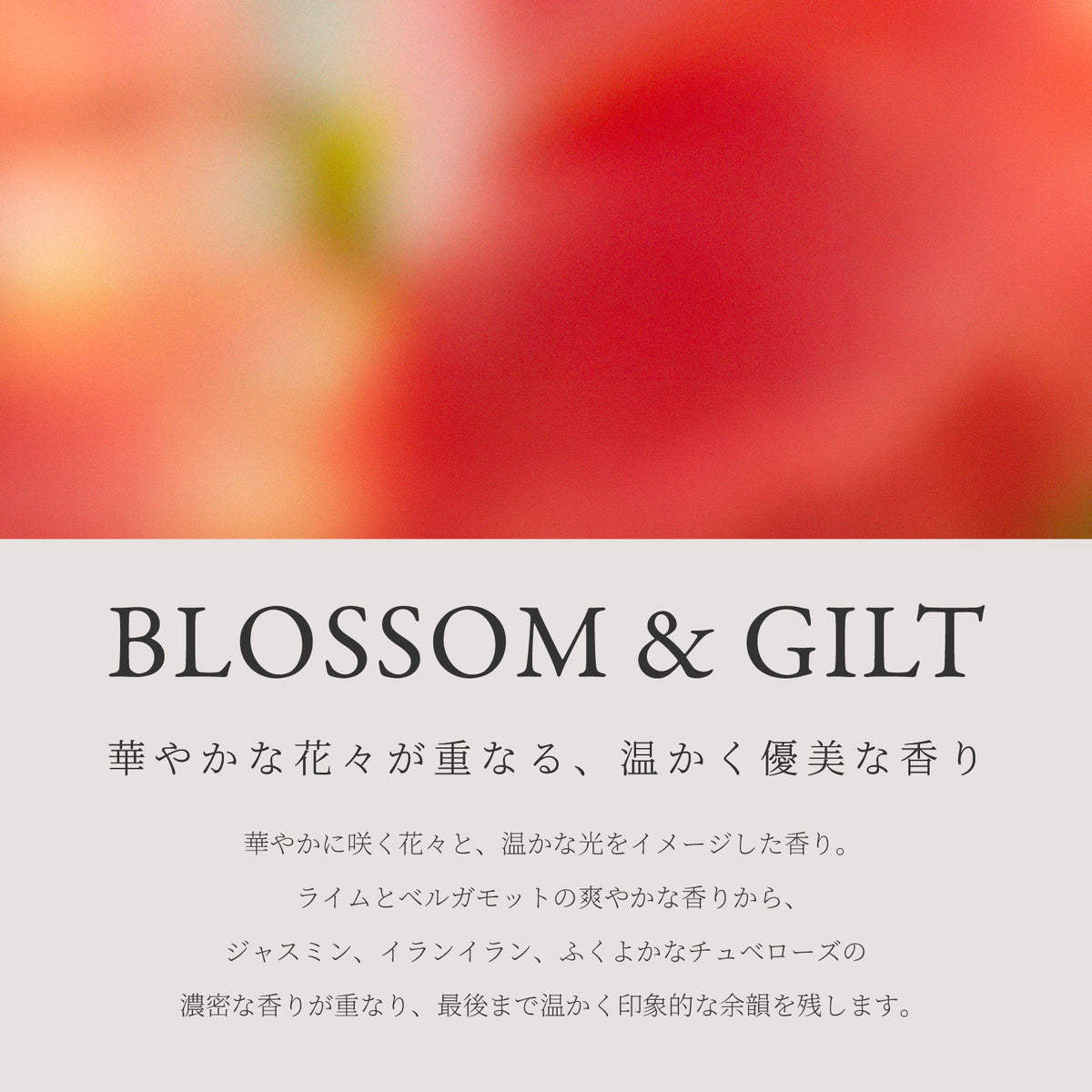 Ashley & Co アロマディフューザー